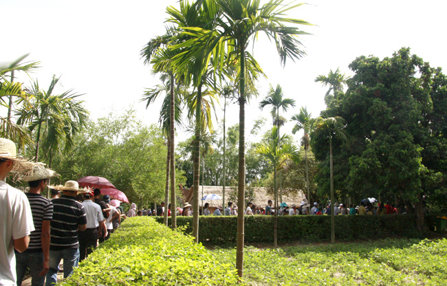 Thăm quê ngoại Bác Hồ