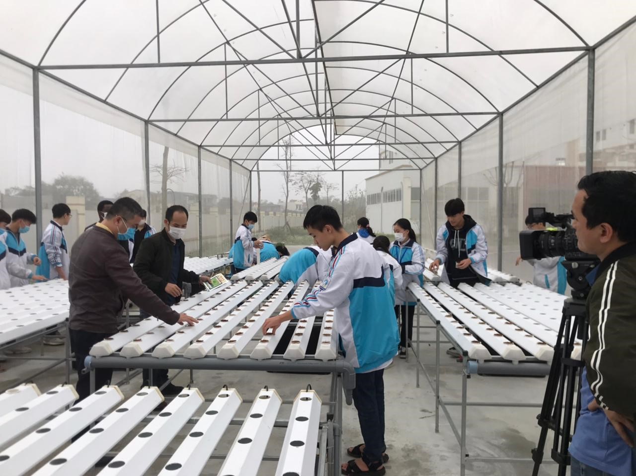 Học sinh THPT thực hành gieo hạt giống rau trên hệ thống thủy canh