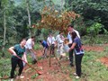 Vườn cây ăn quả tại khu di tích Pác Bó, Cao Bằng