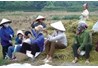 Số liệu điều tra lao động, việc làm 2011