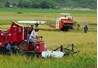 PHÊ DUYỆT ĐỀ ÁN TÁI CƠ CẤU NGÀNH NÔNG NGHIỆP THEO HƯỚNG NÂNG CAO GIÁ TRỊ GIA TĂNG VÀ PHÁT TRIỂN BỀN VỮNG