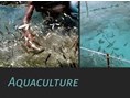 Aquaculture