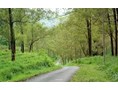 Silviculture