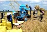 [pdf] Chiến lược phát triển nông nghiệp nông thôn giai đoạn 2011 - 2020