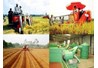 Chính sách khuyến khích doanh nghiệp đầu tư vào nông nghiệp, nông thôn 2014