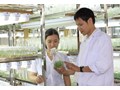 Chương trình tiên tiến Đại học Nông Lâm: Môi trường đào tạo đại học lý tưởng