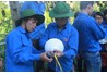Mùa hè tình nguyện hè 2014
