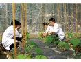 Research Centers/Institutes