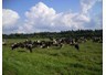 Thông báo tuyển thực tập sinh đi Belarus năm 2014