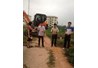 Khoa Khoa học cơ bản hưởng ứng “Tết trồng cây” Xuân Ất Mùi năm 2015