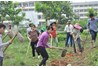 Khoa KT&PTNT hưởng ứng Tết trồng cây 2015