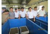 QUI TRÌNH 2: QUI TRÌNH CHO BABA GAI SINH SẢN VÀ ẤP TRỨNG CHO BABA GAI