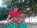 Cơ hội việc làm ở nước ngoài cho sinh viên khối Nông lâm nghiệp
