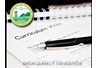 Curriculum Vitae - Vũ Thị Quý