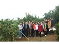 Học tập mô hình xây dựng nông thôn mới tại Cao Phong – Hòa Bình