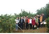 Thăm quan học tập mô hình xây dựng nông thôn mới tại Cao Phong – Hòa Bình
