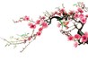 Chúc mừng năm mới!!! Chào Xuân Bính Thân 2016!!!