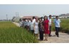 Hợp tác để phát triển