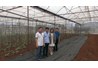 Khoa Nông học xây dựng mô hình hợp tác sản xuất rau an toàn