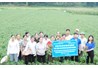 Mô hình thâm canh lạc trên đất lúa kém hiệu quả tại huyện Sơn Dương, tỉnh Tuyên Quang