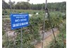 Hoạt động Khoa học công nghệ của bộ môn Sinh thái và Bảo vệ thực vật tại trường ĐHNL