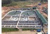  Khoa Môi Trường và Công ty cổ phần đầu tư phát triển Yên Bình hợp tác đào tạo
