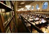 Harvard, bốn rưỡi sáng