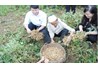 Kết quả xây dựng mô hình thâm canh lạc trên đất lúa kém hiệu quả vụ xuân tại huyện Hà Quảng tỉnh Cao Bằng