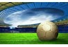 KHOA MÔI TRƯỜNG – " BẦY CÁO" CỦA PREMIER LEAGUE