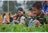 Chương trình trải nghiệm "Chúng em tập làm kỹ sư nông nghiệp
