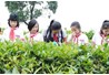 Chương trình trải nghiệm “Chúng em tập làm kỹ sư nông nghiệp”