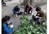 CLB Định hướng nghề nghiệp sinh viên khoa Nông học (CLBĐHNN) tổ chức đối thoại với hội viên để thúc đẩy các hoạt động nhằm phát triển CLB