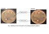 Effect of chitosan purifying methods on inhibition activity toward pathogenic bacteria