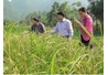Thành công từ mô hình liên kết trong nghiên cứu, phát triển và ứng dụng KH&CN