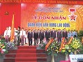 Trường Đại học Nông Lâm giai đoạn 1994 - 2015: Phát triển nhanh các ngành và các bậc đào tạo, bước đầu hội nhập quốc tế, trở thành đơn vị Anh hùng Lao động thời kỳ đổi mới