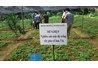 Kiểm tra kết quả thực hiện đề tài NCKH cấp tỉnh năm 2016 