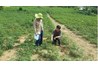 Chương trình hợp tác quốc tế nghiên cứu về cây tổ chức tập huấn và lắp đặt thiết bị theo dõi thí nghiệm nghiên cứu