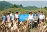 Bộ Nông nghiệp và Phát triển nông thôn kiểm tra đánh giá kết quả thực hiện dự án khuyến nông năm 2016
