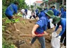Quyết định số 57/2015/QĐ-TTg của Thủ tướng Chính phủ : Về chính sách đối với hoạt động tình nguyện của thanh niên