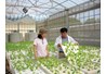 Kỹ sư nông nghiệp – Đầu vào “ế ẩm”, đầu ra “cháy hàng” (kỳ 2)