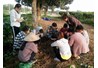 CLB Định hướng nghề nghiệp khoa Nông học tổ chức tập huấn kỹ thuật ghép cây cho các thành viên
