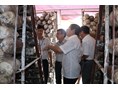 TUAF - Quang Nam Province: Cooperation in Technology Transfer