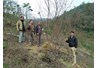 Khảo sát, tuyển chọn giống lê địa phương và xác định địa bàn thực hiện dự án sản xuất lê tại Bắc Kạn