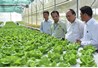Thủ tướng: Chính phủ luôn ủng hộ cách làm nông nghiệp công nghệ cao