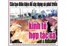 Đào tạo, bồi dưỡng cán bộ quản lý hợp tác xã và tổ hợp tác trong nông nghiệp