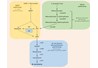 Enhanced β-Carotene Biosynthesis in Recombinant Escherichia coli Harboring the Bottom Portion of Mevalonate Pathway of Enterococcus faecium VTCC-B-935 Isolated in Vietnam