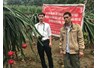 Kiểm tra tiến độ đề tài KH&CN cấp Bộ: Nghiên cứu giải pháp kỹ thuật tổng hợp nâng cao năng suất, chất lượng thanh long ruột đỏ tại huyện Nguyên Bình, Cao Bằng