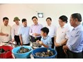 Đồng chí Bí thư Tỉnh ủy thăm một số dự án thuộc lĩnh vực Khoa học và Công nghệ do Trường Đại học Nông Lâm thực hiện