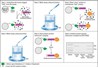 Tương tác protein, phương pháp sàng lọc protein tương tác với protein đã biết dựa trên pull-down