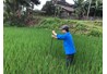 Một chuyến thực tập